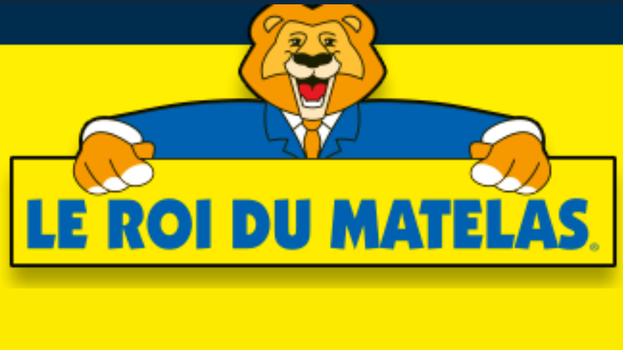 le roi du matelas vieux logo